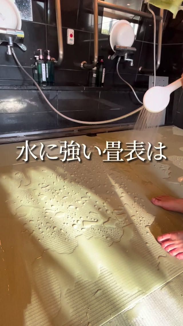 お風呂場に畳、アリだと思いますか？...↓

実はこれ、水に強い畳なんです。

柔らかくて、滑りにくくて、ちょっと贅沢。

サウナやお風呂の時間が、もっと気持ちよくなる。

そんな新しい畳の使い方が、広がっています♪

#畳 #畳のある暮らし #気分草快 #内装デザイン